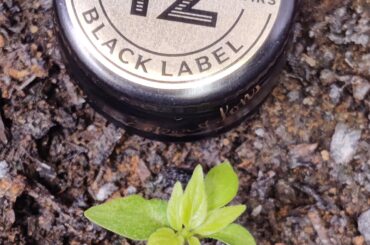 Mini me Fatalii Gourmet Jigsaw