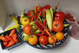 Throwback to last season.