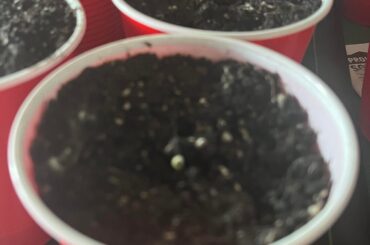 What to do now? Help please