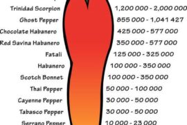 The scoville heat unit chart reminds me of early dragon ball z power levels.