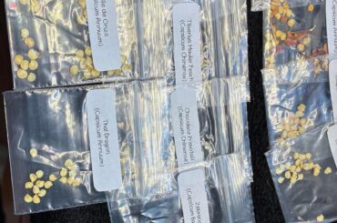 My WhiteHot order just came in