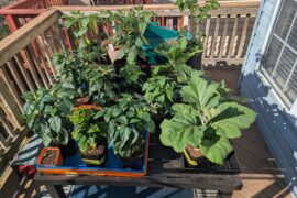 Finishing up hardening week #1