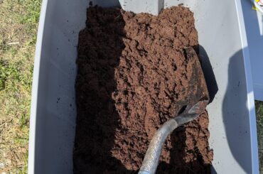 Coco Coir