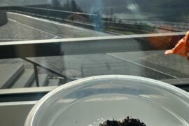 When to start feeding?