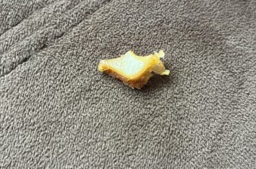 tooth in taco bell??