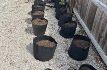 Compost