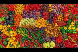 Insane pepper harvest in a small backyard garden