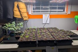 I may have overdone it a bit.