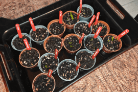 Guess I'm a club member now?