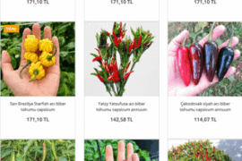 Found these seeds online and can't decide which ones to start with. Which 3 would you recommend? Thank you!