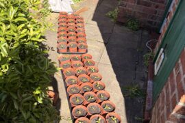 Day trip for the kids