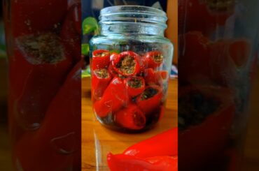 Lal Mirch Achar | Mirchi Achar | Red chilli Pickle Recipe #shorts #recipe #food #cooking #viralvideo