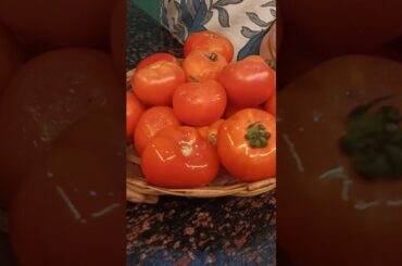 Banarasi Tamatar chaat ki Kahani 🤤❣️ | #viral #reels #shortsviral #recipe