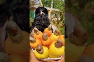 Cashew Apple Salt, pepper and chilli #shorts #short #trending #pickle