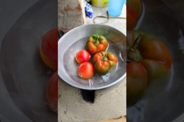 So Tasty Capsicum Tomato Bhorta Recipe #bharta #shorts #recipe