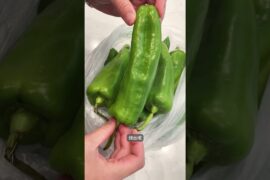 烧椒牛肉丝，北美最适合做烧椒的辣椒找到了 #辣椒 #牛肉