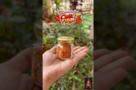 Homemade Chilli Flakes🌶️ #chilliflakes #shorts #recipe #garden #cooking #viral #planting #trending