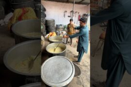 🍚 🫑🥬🫛Chinese Rice with Soy Sauce & Green Chili | Street Style Fried Rice Recipe