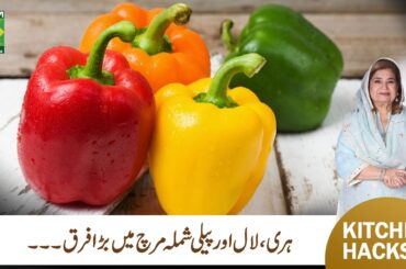 Bell Pepper / Capsicum Colors Explained | Kitchen Tip by Shireen Anwar | Masala TV
