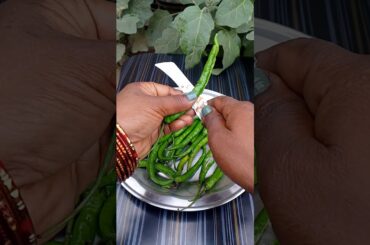 Green chilli fry  |  Hari mirch fry #recipe#cooking#greenchillifry  #mirchifry#viral#shots#minivlog