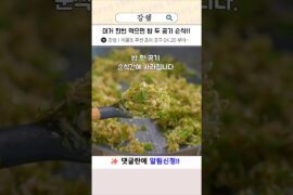 밥도둑 수준이 아니라 밥강도 입니다.!! 강쉪