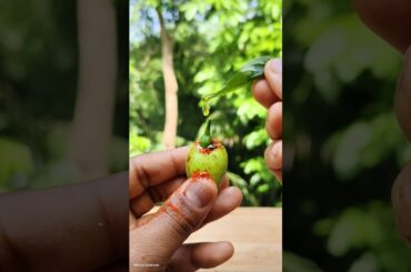 Mini Green Chilli Mango Stuffing 🥭🤤😋 #ytshorts #recipe #viral #trending