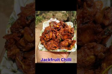 Jackfruit Chilli Recipe/Chilli Recipe 😋🤩#chilli#jackfruit#shortsvideo#food#reels#ytshorts#anuradha