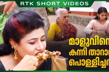 മാളുവിന്റെ കന്നി താറാവ് പൊള്ളിച്ചത് | Kerala Style Duck Roast Recipe | Duck Pollichathu Malayalam