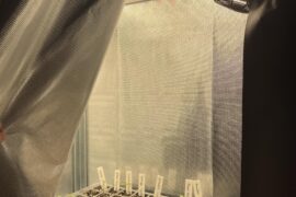 Lower growlight or is it ok?