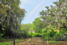 So this just happened...