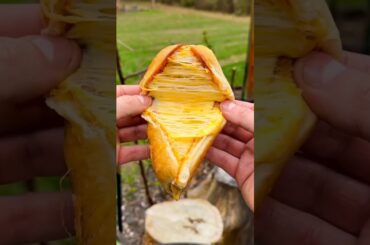 Grilled Cheese Chili Dog 🌭