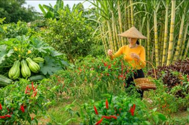Harvest, Sell, Cook With Bird’s Eye Chili, Chayote, Sugarcane, Chocolate Chili – Grow Vegetables
