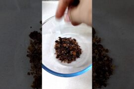 തൈര് മുളക് കൊണ്ടാട്ടം അടിപൊളി 😋 #shorts #recipe