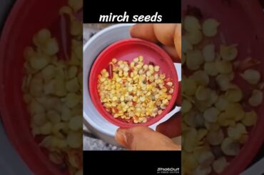 Spicy Mirch Chutney Recipe | Easy Homemade Chili Chutney #chatni  #villagekitchen #viral #recipe