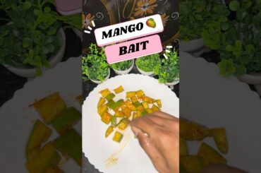 Spicy Mango Cut Recipe 🌶️🥭 | Red Chilli Mango Snack #mango #summer2026 #cookingwithcgboy #shorts
