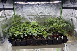 First season. I didn’t expect this success