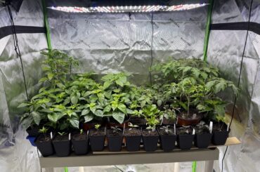 First season. I didn’t expect this success