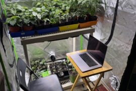 Forget the office. I’m more efficient in pepperland.