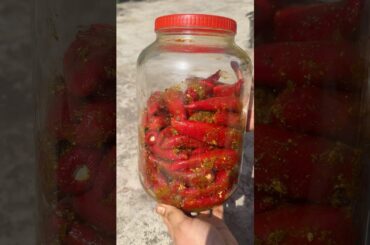 Laal Mirchi Ka Achaar #laalmirch #mirchikaachar #mirchachar #achaarrecipe #healthyfoodrecipes #short