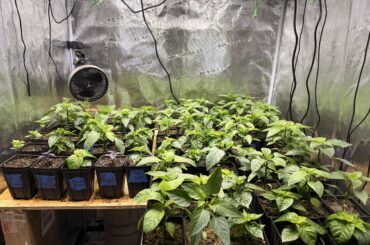 Off to a good start, excited.