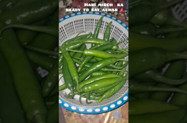 Hari mirch ka ready to eat achar 🌶 #hum4diaries #achar  jhatpat wala achar 🦋 plz support my channel