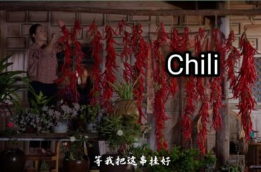Chili 🌶 | Popular spice | it is used as a healthy main dish | Hot