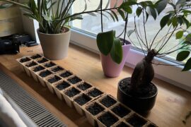 First timer, am I doing this right?