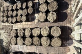 Prepped and Cookin’