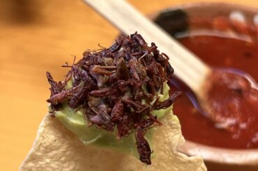 Mexican delicacy