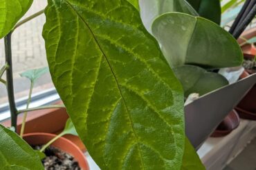 What is this? Should I be worried?