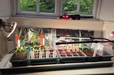 Needed better lights.... gotta go with what I've got! Will this make any difference?