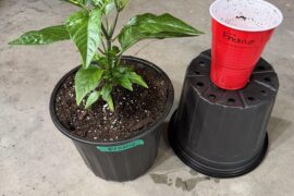 Upgraded home with 1 month lease.