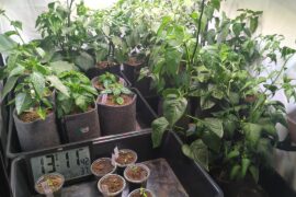 4month update, space is getting tight