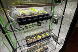 Progress Pics -Zone 5b